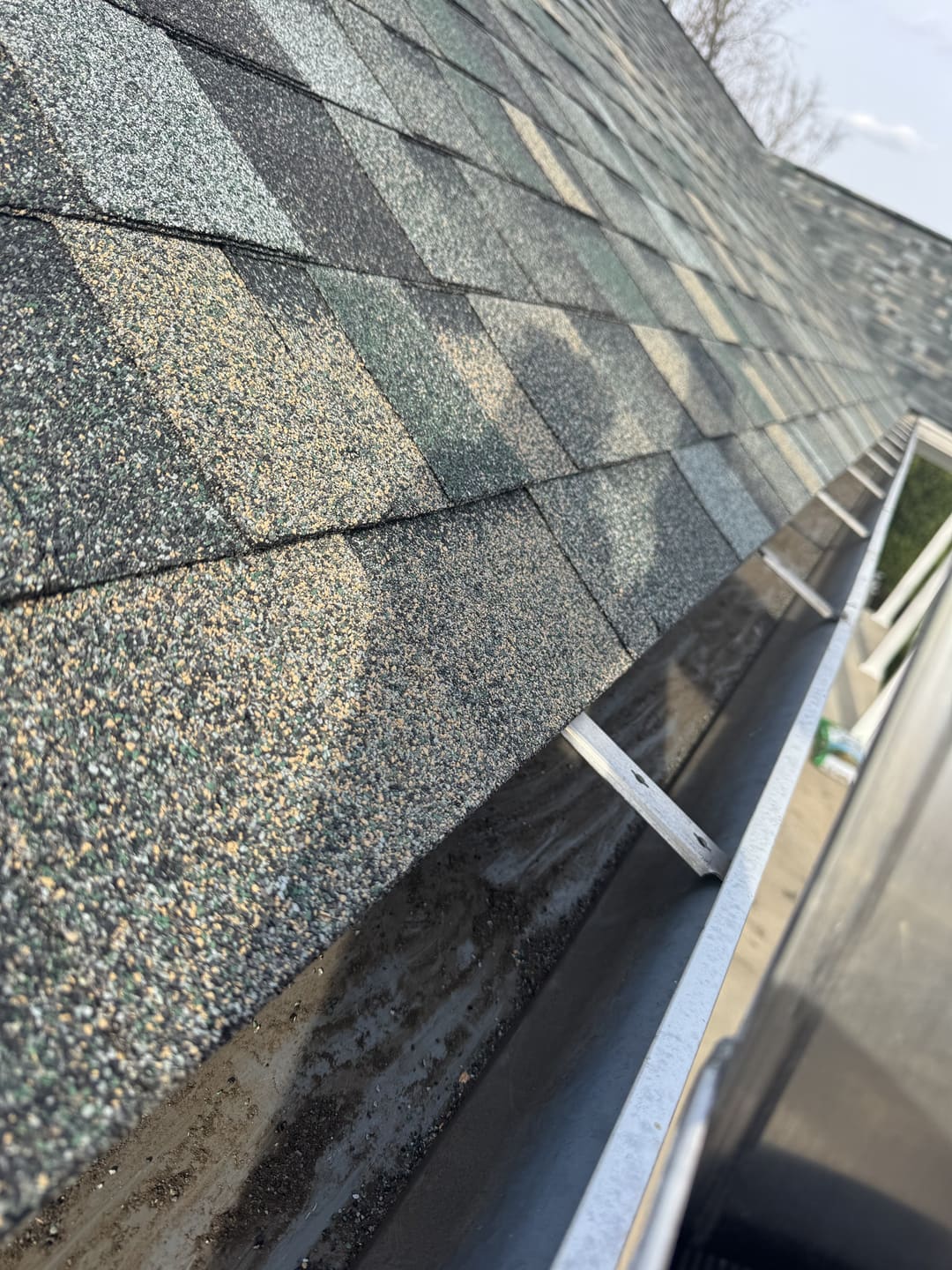 Close view of shingle granules at the roof edge above a gutter